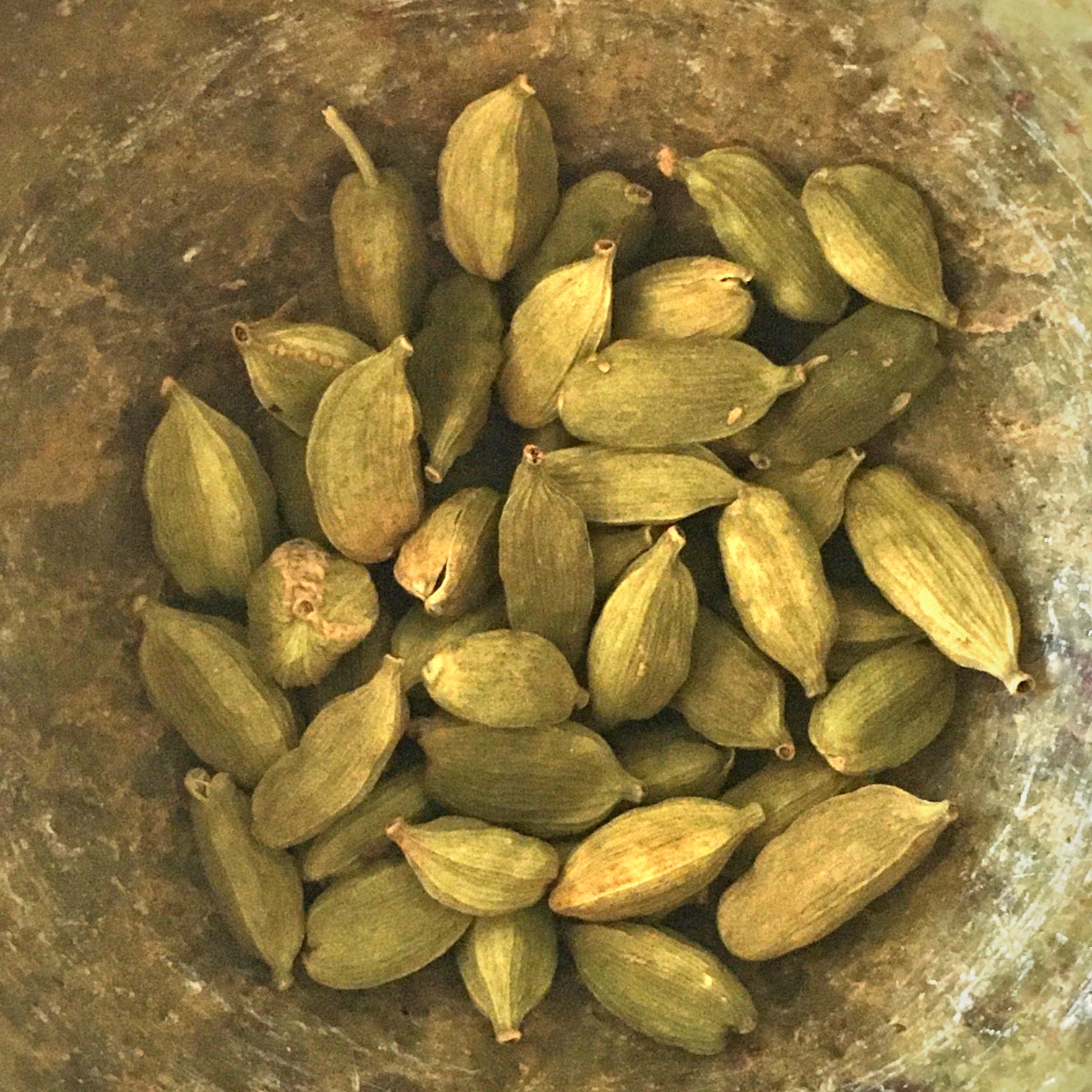 cardamom